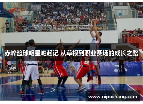 赤峰篮球明星崛起记 从草根到职业赛场的成长之路