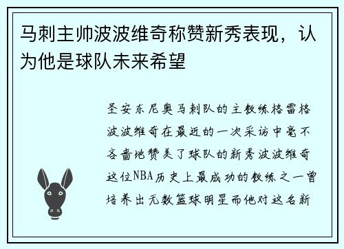 马刺主帅波波维奇称赞新秀表现，认为他是球队未来希望