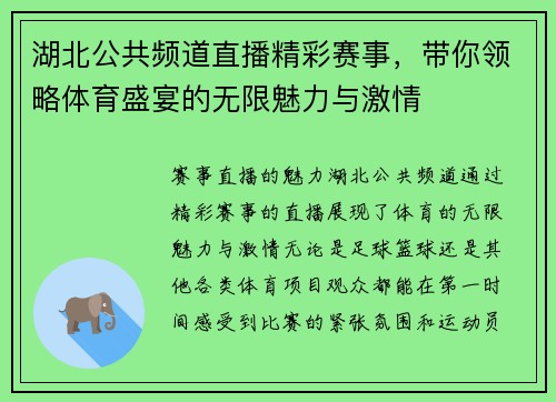 湖北公共频道直播精彩赛事，带你领略体育盛宴的无限魅力与激情